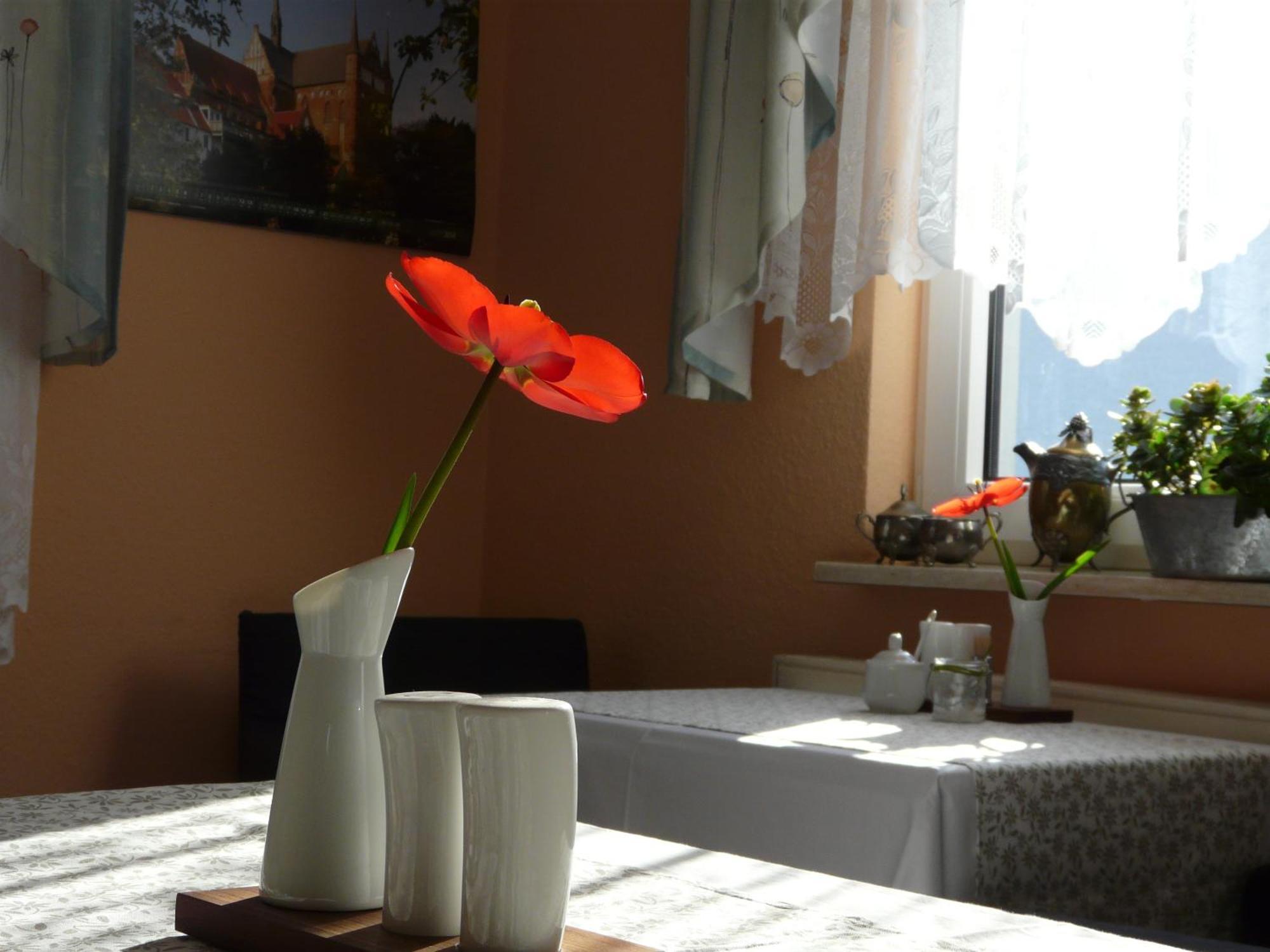Pension Zur Kirchsee Poel Exterior foto